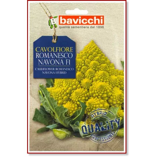    - Romanesco Navona F1 - 0.1 g   Geo - 