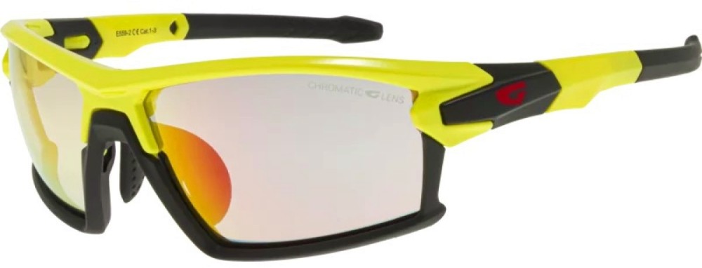    Goggle E559-2 -  1 - 3 - 