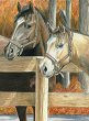 Рисуване по номера Royal & Langnickel - Коне - 22 x 30 cm с цветни моливи -