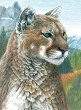 Рисуване по номера Royal & Langnickel - Пума - 22 x 30 cm с цветни моливи -