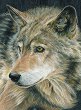 Рисуване по номера Royal & Langnickel - Вълк - 22 x 30 cm с цветни моливи -