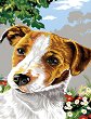 �������� �� ������ NEWART - ���� - 40 x 50 cm - 