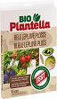      Plantella