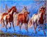 �������� �� ������ Foska - ����� - 50 x 40 cm - 