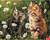 Рисуване по номера Ideyka - Сладки котета - 40 x 50 cm -