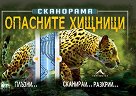 Сканорама: Опасните хищници - Анна Клейборн - детска книга