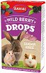 Лакомства за гризачи Sanal Wild Berry Drops Sugar Free - 45 g, с горски плодове - храна