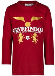   Harry Potter Gryffindor - 100% ,    ,  6  - 