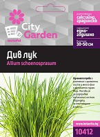     -   City Garden - 