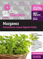    -   City Garden - 