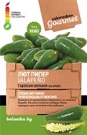     - Jalapeno -    - 