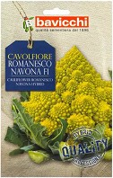    - Romanesco Navona F1 - 0.1 g   Geo - 