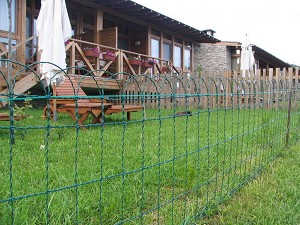   Border Fence -   10 m - 