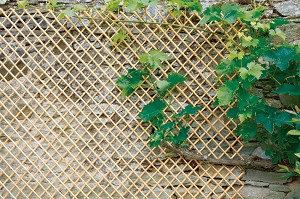      Nortene Wick Trellis - 