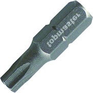  Topmaster Torx - 2  x 25 mm - 