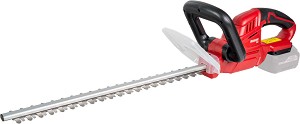   20V Raider RDP-YHT20 Solo -       Garden Tools - 