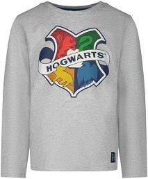   Harry Potter Hogwarts - 100% ,     - 