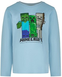   Minecraft Skins - 100% ,   Minecraft - 