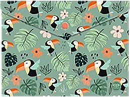    Cool Pack -   A4   Toucans - 