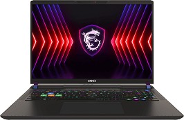  MSI Vector 16 HX A14VHG - Intel Core i9-14900HX 4.1 GHz, 16'' IPS 2560 x 1600, 240 Hz, 32 GB RAM DDR5, 1 TB SSD, NVIDIA RTX 4080, Windows 11 Home - 