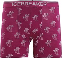   Icebreaker Merino Anatomica Boxers -    - 