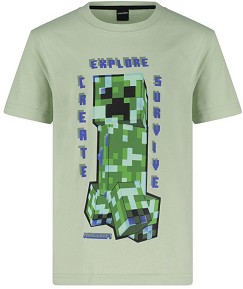   Minecraft Explore - 100% ,   Minecraft - 