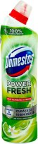    Domestos Power Fresh - 